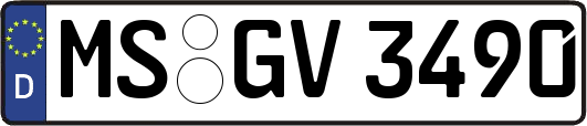 MS-GV3490