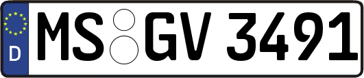 MS-GV3491