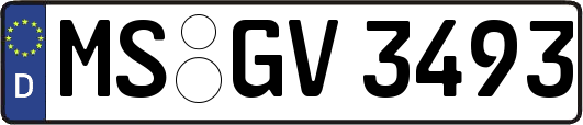 MS-GV3493