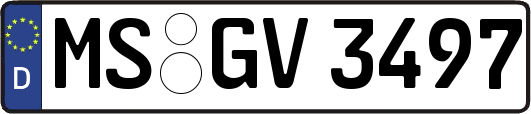 MS-GV3497