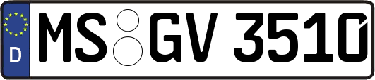 MS-GV3510