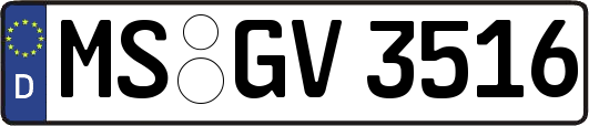 MS-GV3516