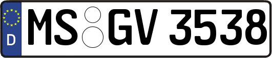 MS-GV3538
