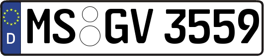 MS-GV3559