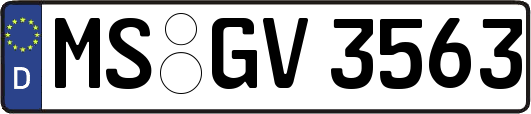 MS-GV3563