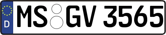 MS-GV3565