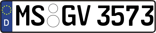 MS-GV3573