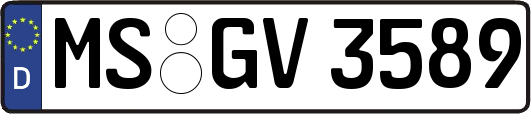 MS-GV3589