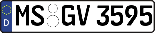 MS-GV3595