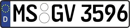 MS-GV3596