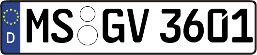 MS-GV3601
