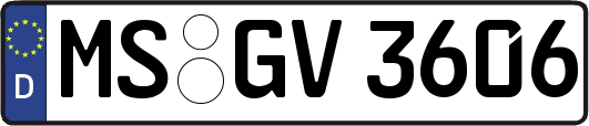 MS-GV3606