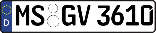 MS-GV3610
