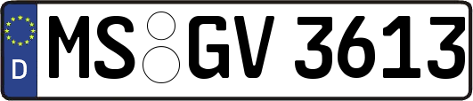 MS-GV3613