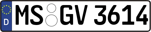 MS-GV3614