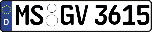MS-GV3615