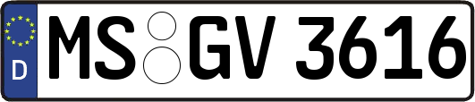 MS-GV3616