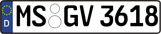 MS-GV3618
