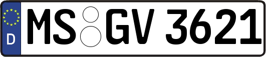 MS-GV3621