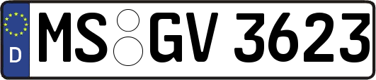 MS-GV3623
