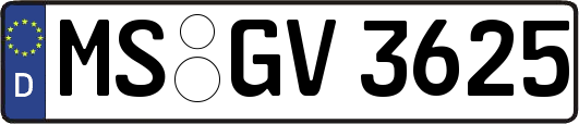 MS-GV3625