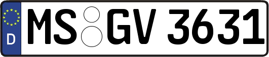 MS-GV3631
