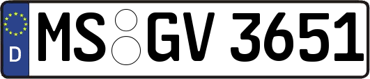 MS-GV3651