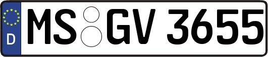 MS-GV3655