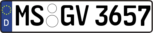 MS-GV3657