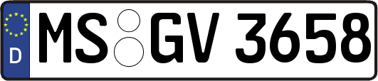 MS-GV3658