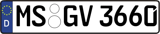 MS-GV3660