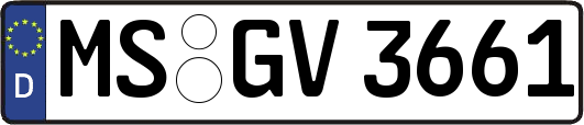 MS-GV3661