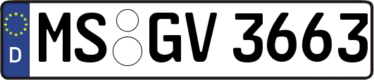MS-GV3663