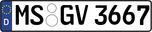 MS-GV3667