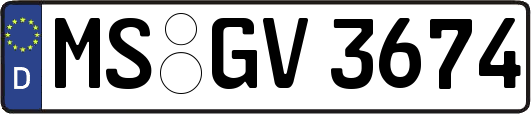 MS-GV3674
