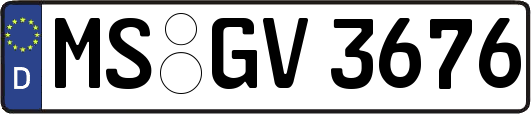 MS-GV3676