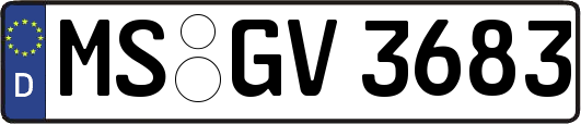 MS-GV3683