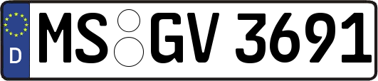 MS-GV3691