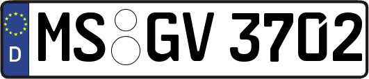 MS-GV3702