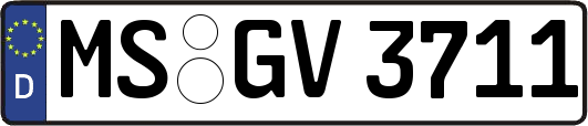 MS-GV3711