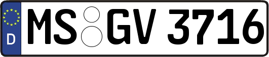 MS-GV3716