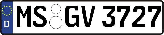 MS-GV3727
