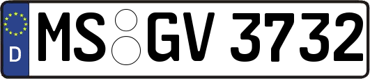 MS-GV3732
