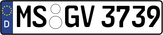 MS-GV3739