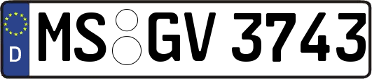 MS-GV3743