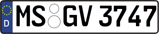 MS-GV3747