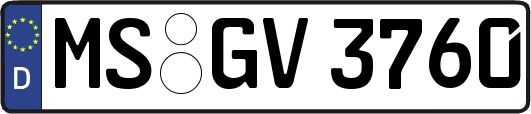 MS-GV3760