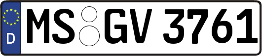 MS-GV3761