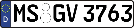 MS-GV3763