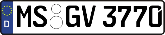 MS-GV3770